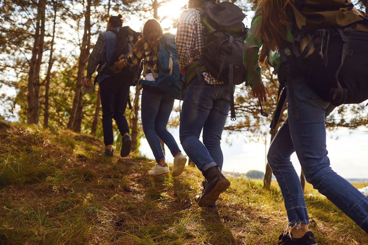 A happy group of friends hiking in the autumn forest, enjoying a sunny day and having fun conversations.
