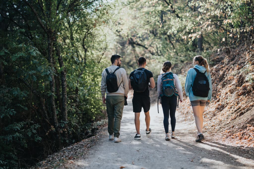 A happy group of friends hiking in the autumn forest, enjoying a sunny day and having fun conversations.